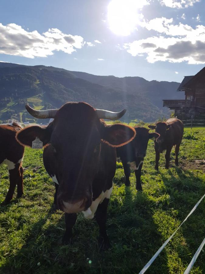 Huettenferien Koeberlhof Sankt Georgen ob Murau Eksteriør billede